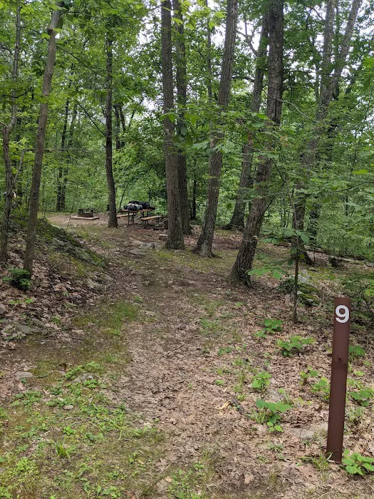 Campground#9 Picture 3