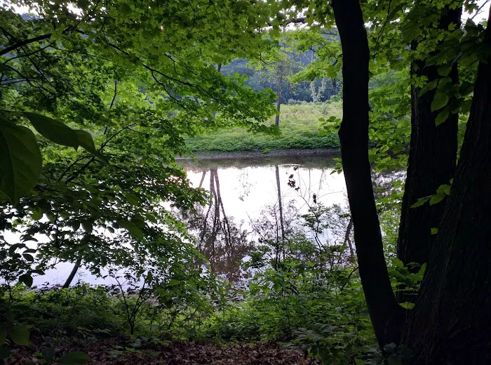 Driftstone Campground Picture 7