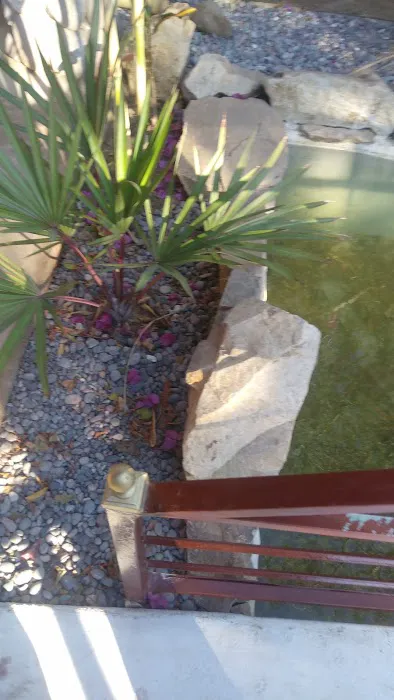 Valle Dorado Picture 2