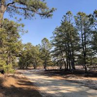 Batona Campground ico