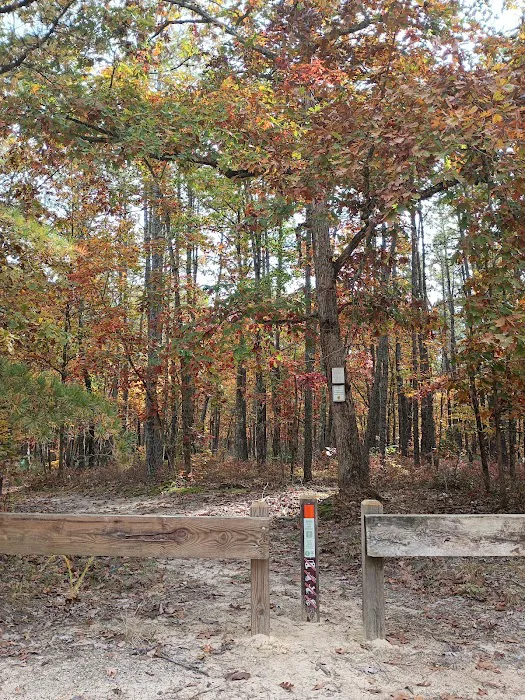 Goshen Pond Camping Area Picture 3