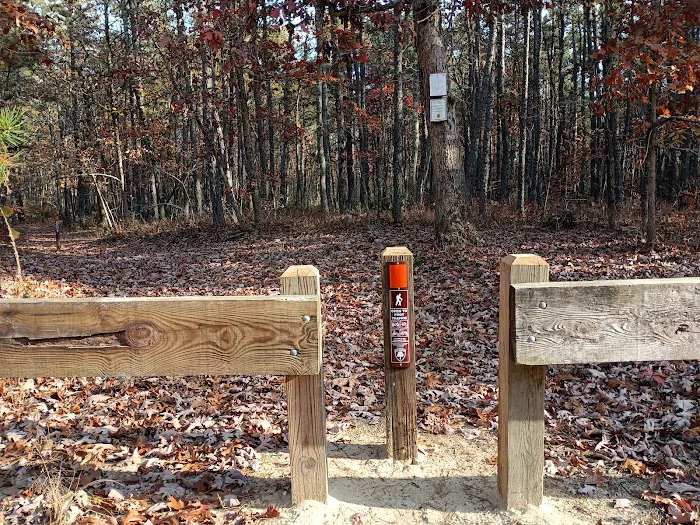 Goshen Pond Camping Area Picture 2