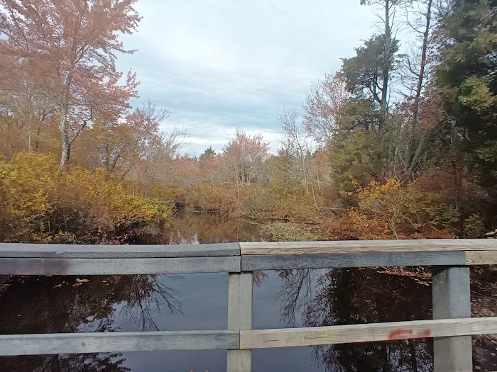 Goshen Pond Camping Area Picture 5