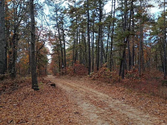 Goshen Pond Camping Area Picture 1