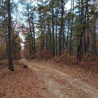 Goshen Pond Camping Area ico