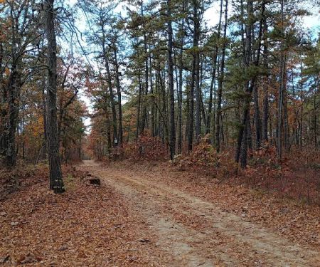 Goshen Pond Camping Area