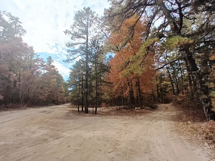 Goshen Pond Camping Area Picture 7