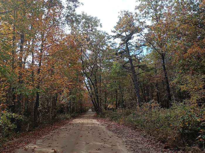 Goshen Pond Camping Area Picture 9