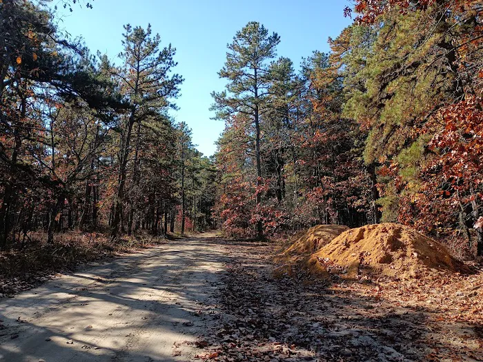 Goshen Pond Camping Area Picture 8