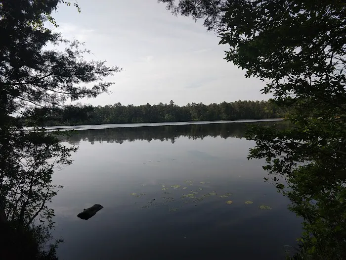 Atsion Family Campground Picture 5