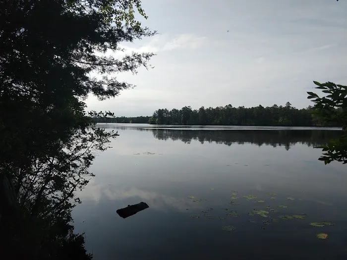 Atsion Family Campground Picture 10