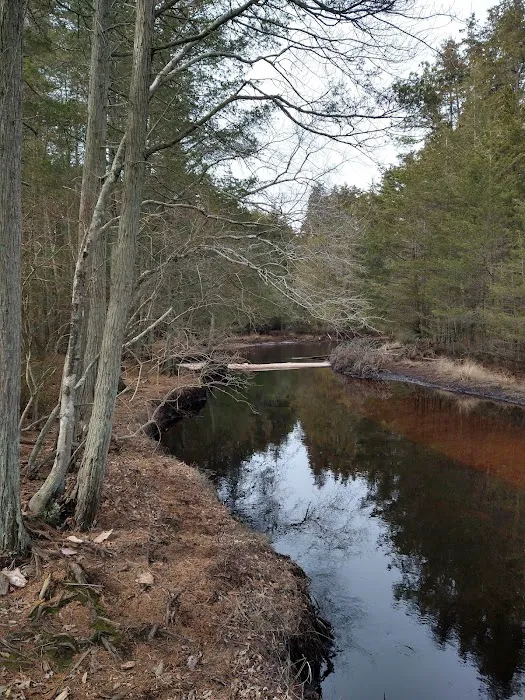 Hawkins Bridge Campground Picture 1