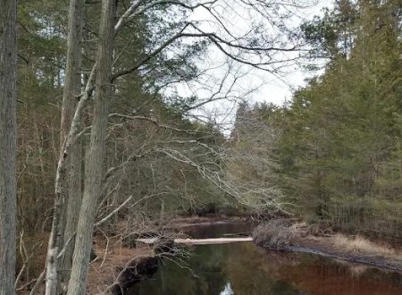 Hawkins Bridge Campground