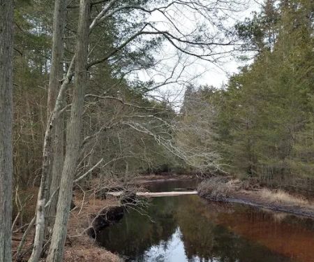 Hawkins Bridge Campground