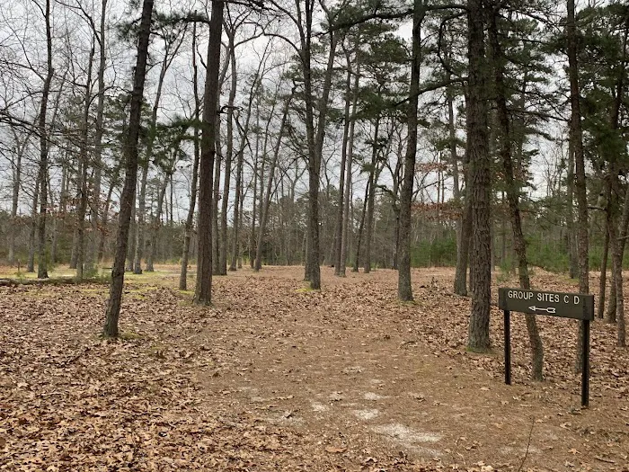 Hawkins Bridge Campground Picture 2