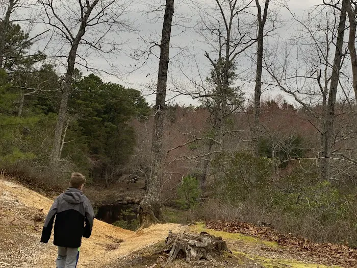 Hawkins Bridge Campground Picture 6