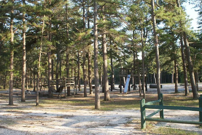 Wading Pines Camping Resort Picture 8