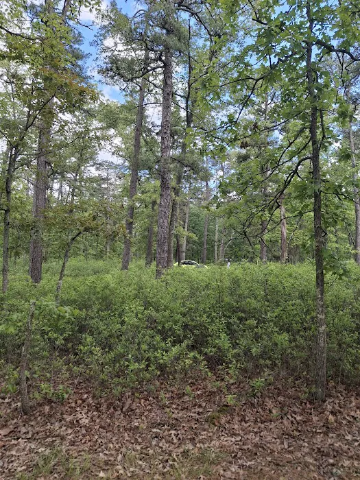 Godfrey Bridge Campground Picture 6