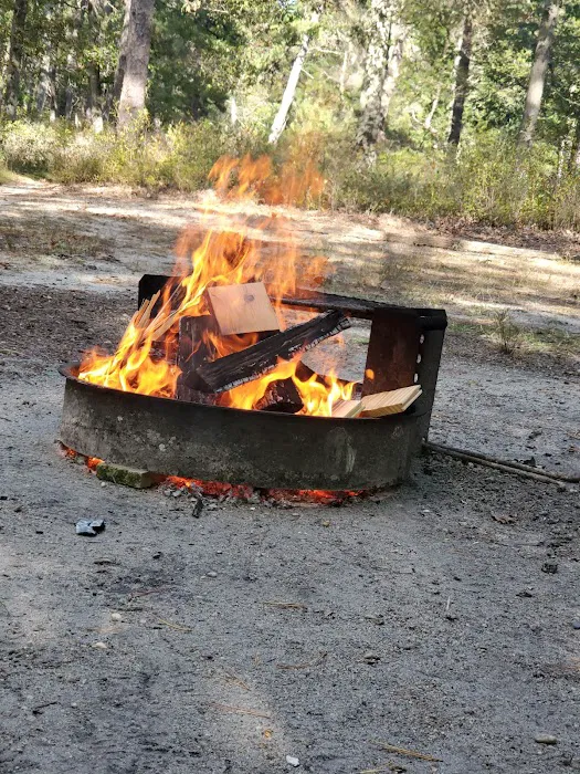 Godfrey Bridge Campground Picture 8