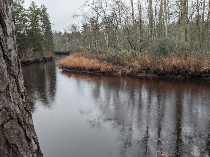 Mullica River Campground Picture 3