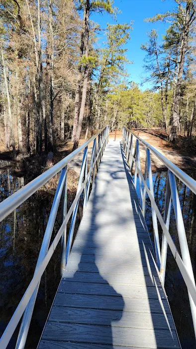Mullica River Campground Picture 7