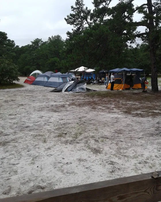 Bodine Field Campground Picture 1