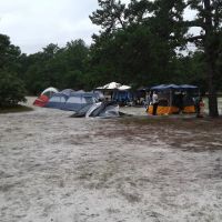 Bodine Field Campground ico