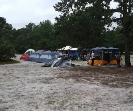 Bodine Field Campground