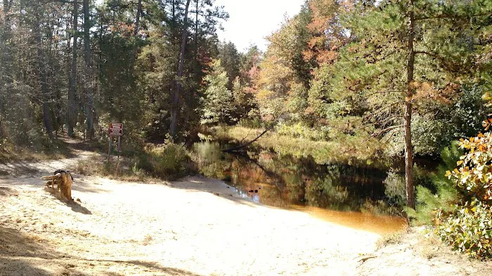 Bodine Field Campground Picture 5