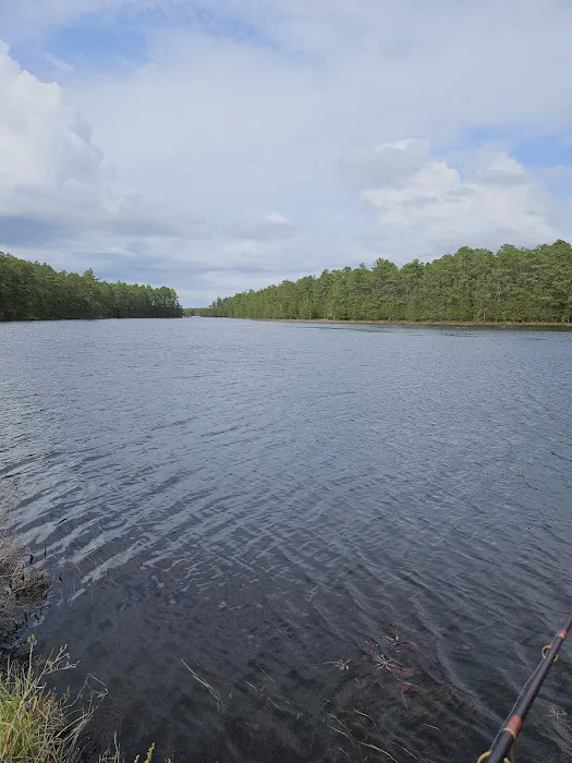 Bodine Field Campground Picture 6