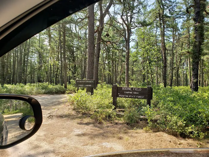 Bodine Field Campground Picture 9