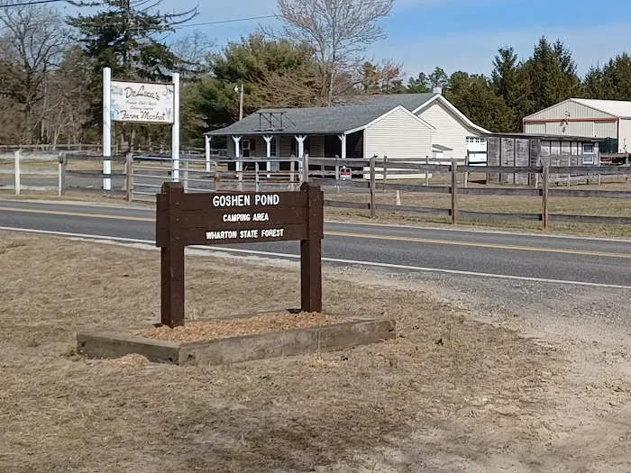 Goshen Pond Camping Area Picture 1