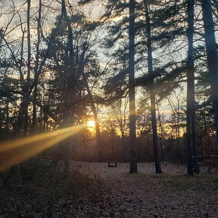 Goshen Pond Camping Area Picture 5