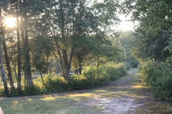 Timberline Lake Camping Resort Picture 10