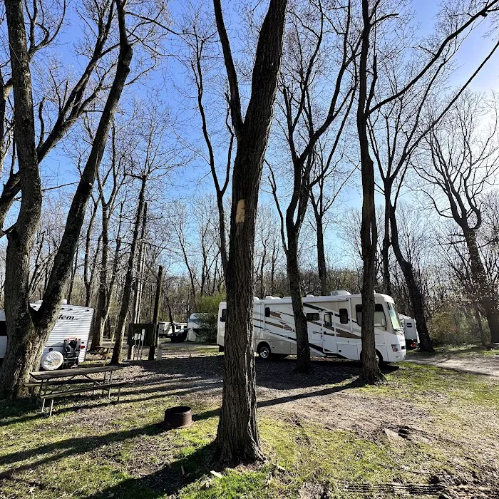 Jugtown Mountain Campsites Picture 2