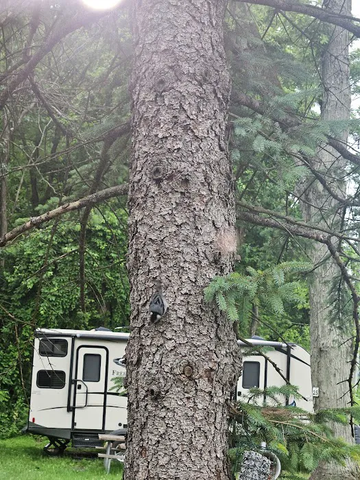 Jugtown Mountain Campsites Picture 8