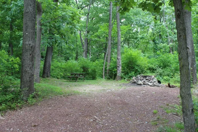 Mountainview Campground Picture 1