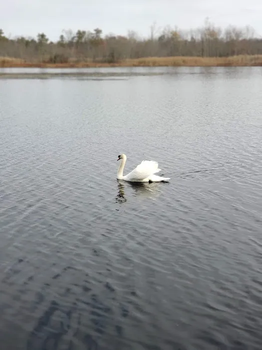 Fawn Lake Village Picture 1