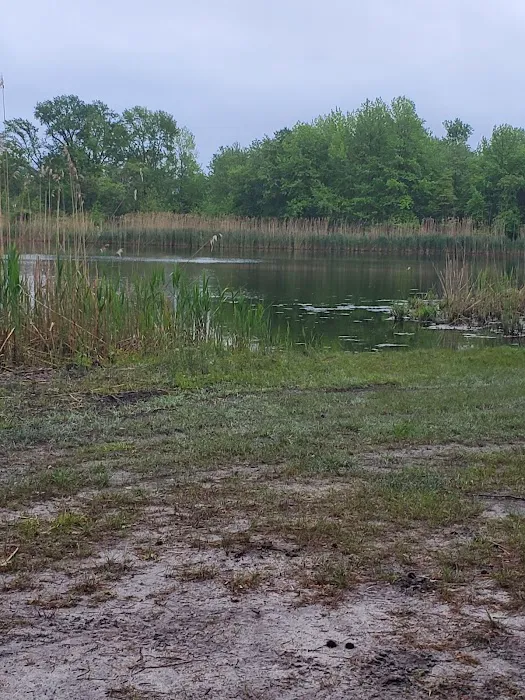 Fawn Lake Village Picture 9