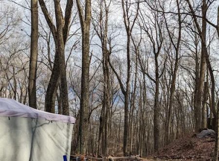 Dogwood Haven Family Campground