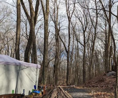 Dogwood Haven Family Campground