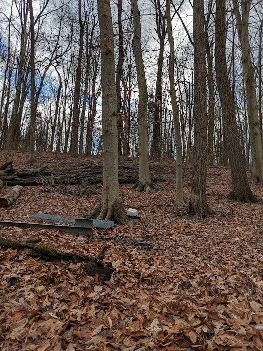 Dogwood Haven Family Campground Picture 9