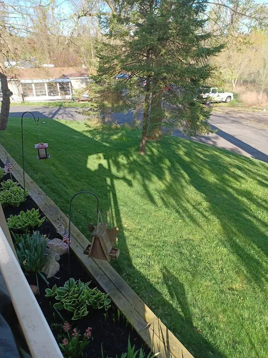 Terry's Mobile Home Park Picture 4