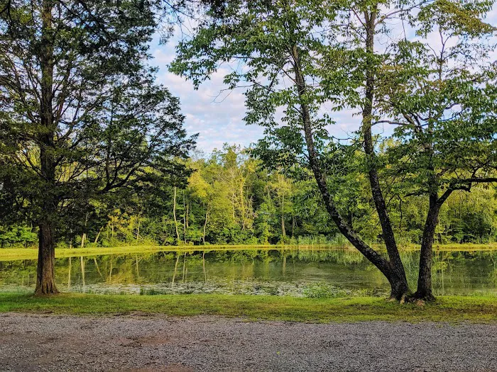 Colonial Woods Family Camping Resort Picture 4