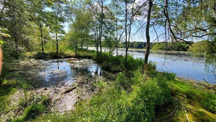 Peconic River Campground Picture 8