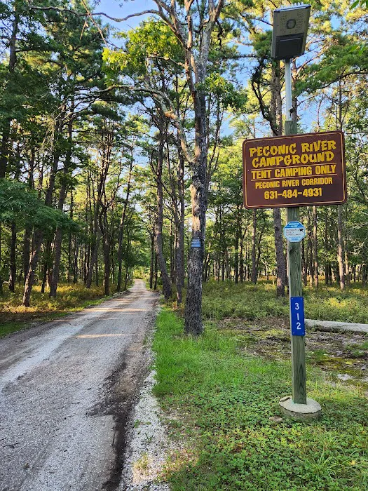 Peconic River Campground Picture 9