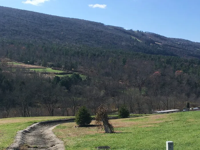 Blue Mountain View Estates Picture 8