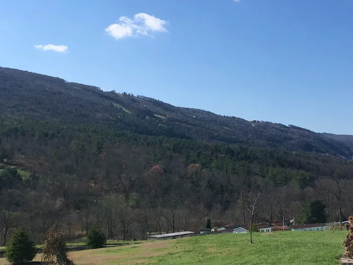 Blue Mountain View Estates Picture 9