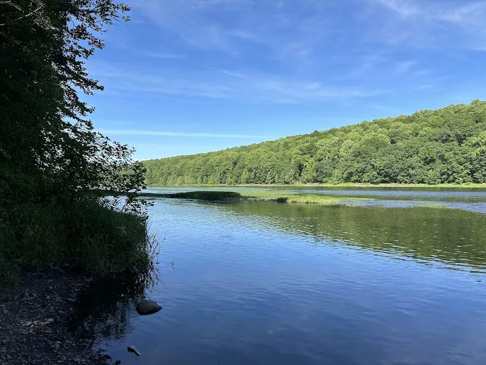 Dingmans Campground Picture 2