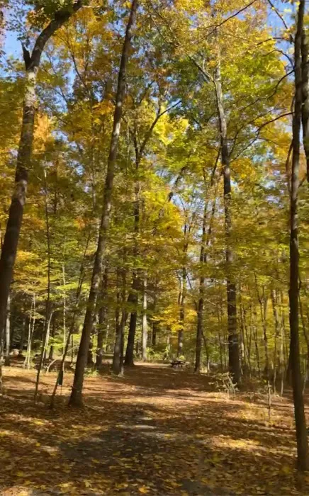 Dingmans Campground Picture 1